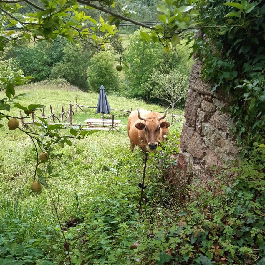 Al Alba Rural Сasa de vacaciones