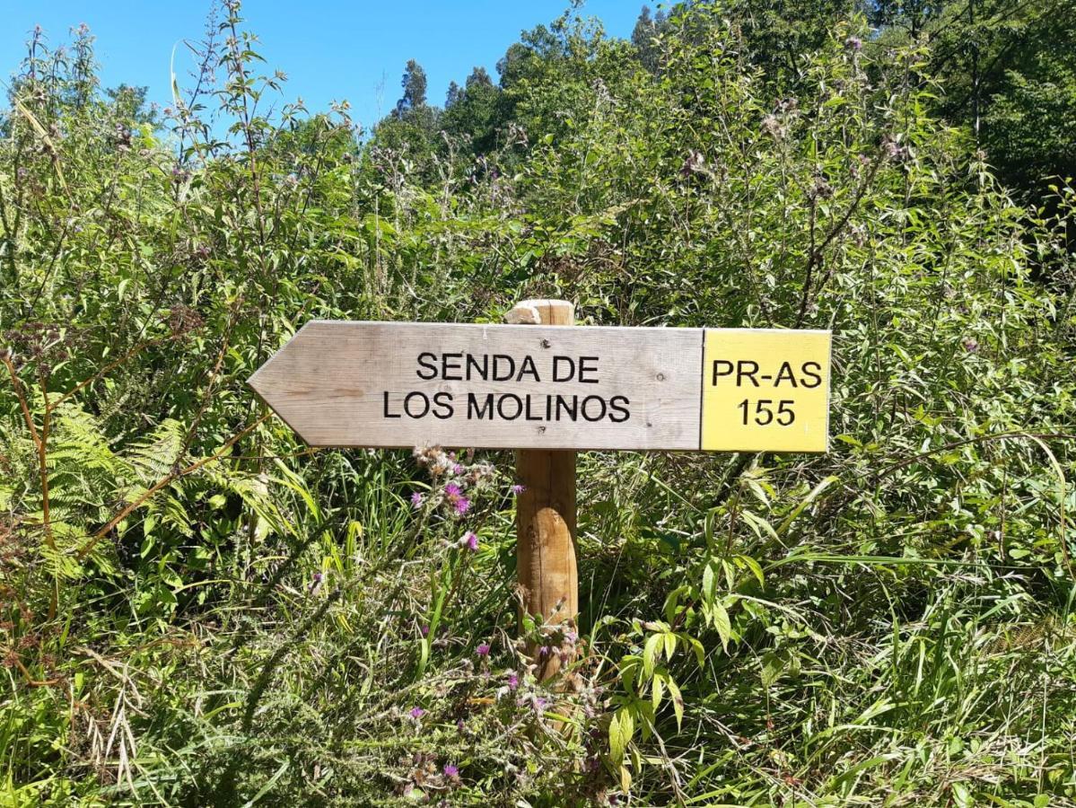 Al Alba Rural